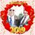 John Ayer's profile image