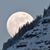 Trish Munoz Mathews's profile image