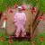 Barb Sherbert's profile image