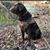Donna T Haigler's profile image