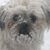Bk Chambers's profile image