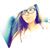 Belle Lee's profile image