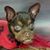 Greg Jones's profile image