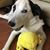 Linda Schifferle's profile image
