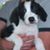 Kathy Fleming Wissig's profile image