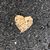Robin Moore DeRito's profile image