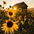 Debby A. Hallman Ferguson's profile image