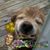 Ellen Grabowski Tish's profile image