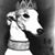 Laura Pike's profile image