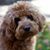 Rachael Caton's profile image