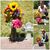 Sandra Philip's profile image