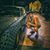 Tyler Scott Yager's profile image