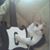 Pam Fogal's profile image