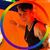 Gina Montel's profile image