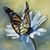 Robin Sparks's profile image