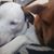 Darlene Reffel's profile image