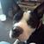 Darlene Williams Zunic's profile image
