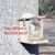 Fran Hewitt Wiles's profile image