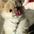 Debbie Scoggins's profile image