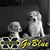 Maize'n Blue Beagles's profile image