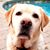Steve Porter's profile image