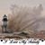 Carolyn Zbozien Meesseman's profile image