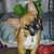 Melanie Gregor's profile image