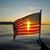 Carol Blizard Humber's profile image