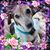 Holly Lawder's profile image