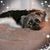 Lisa Smith Dean's profile image