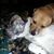 Gina Sasse Ellis's profile image