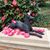 Linda Rybicki's profile image