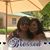Lorraine Reynolds's profile image