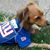 Debra Hurley Kountouris's profile image