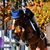 Emily Endres's profile image