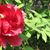 Barbara Clark's profile image