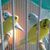 Barbara MacDonald's profile image