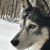 Jennifer Wallace Hunt's profile image