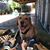 Arleen Dunn's profile image