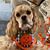 Julie Marchese's profile image