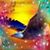 Tanin Chamwan's profile image