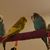 Martie Guay's profile image