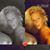Jodi Marie's profile image