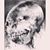 Timothy Licht's profile image