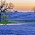 Deb Dales Saylor's profile image