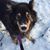 Teri Green Freeman's profile image