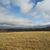 Rob Haldane's profile image