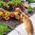 Peggy Duerr's profile image