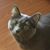 Sue Zajda's profile image