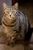 Keira F.'s profile image